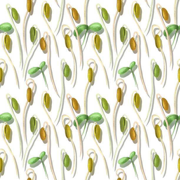 овощной бесшовный узор эскиза сои и ростка, используемый в веганских и здоровых рецептов. - green pea audio stock illustrations