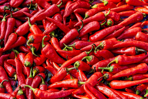 istock Red hot chili pepper in a blue basin with water 1087102002