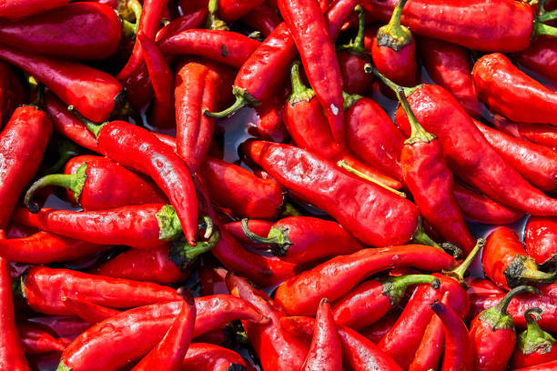istock Red hot chili pepper in a blue basin with water 1087104176
