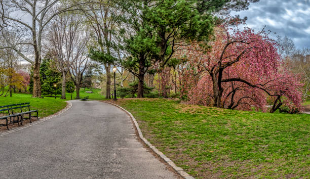 istock Central Park, New York City in spring 1087117294