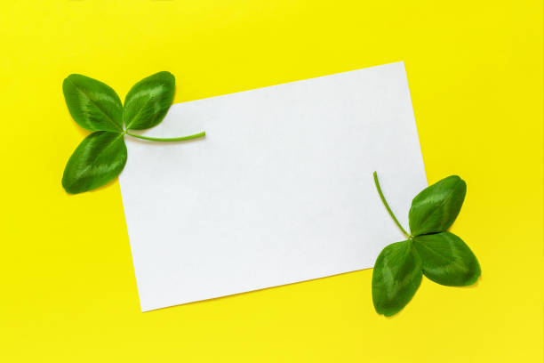 istock Natural clover leaf and white empty card for text on yellow background. St.Patrick 's Day concept. Top view. Mockup template 1087119370