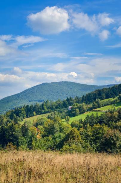 istock Beautiful rural mountain landscape. 1087123986