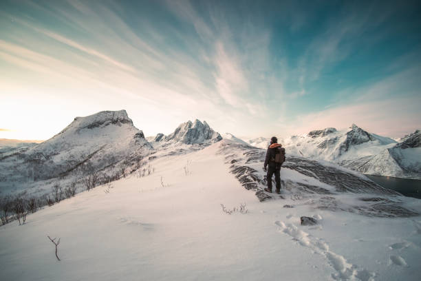 Mountaineer standing on top of snowy mountain Mountaineer standing on top of snowy mountain at sunlight morning senja island photos stock pictures, royalty-free photos & images