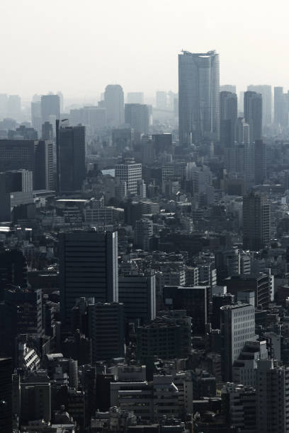 istock Gray monochrome city Tokyo 1087125780