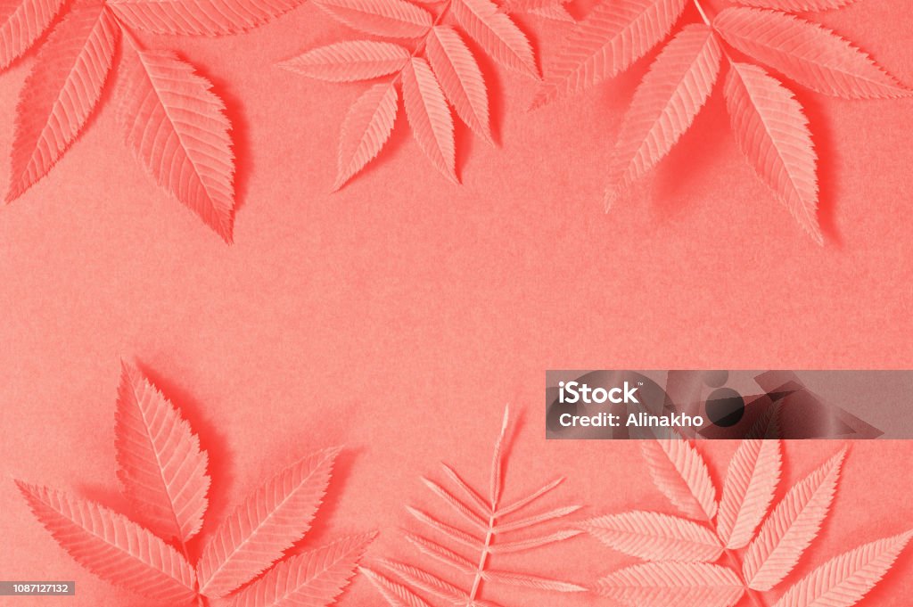 Sfondo con foglie, colore Living Coral - Foto stock royalty-free di 2019