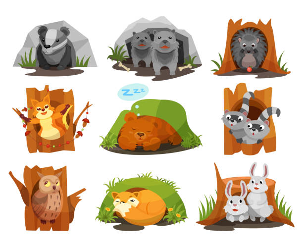 Cute animals sitting in burrows and hollows set, badger, wolves cubs, hedgehog, squirrel, bear cub, raccoon, owlet, fox, hares inside their homes vector Illustration Cute animals sitting in burrows and hollows set, badger, wolves cubs, hedgehog, squirrel, bear cub, raccoon, owlet, fox, hares inside their homes vector Illustration isolated on a white background. hibernation stock illustrations