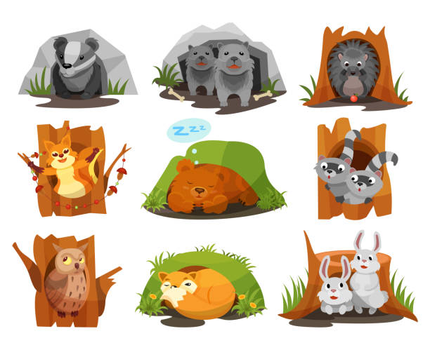 Cute animals sitting in burrows and hollows set, badger, wolves cubs, hedgehog, squirrel, bear cub, raccoon, owlet, fox, hares inside their homes vector Illustration Cute animals sitting in burrows and hollows set, badger, wolves cubs, hedgehog, squirrel, bear cub, raccoon, owlet, fox, hares inside their homes vector Illustration isolated on a white background. burrow stock illustrations