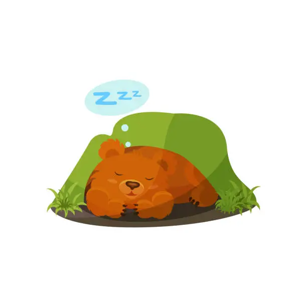 Vector illustration of Cute bear sleeping in a den vector Illustration on a white background