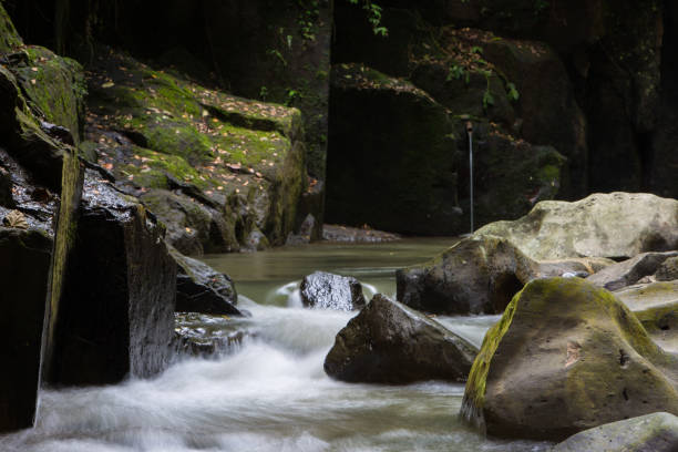 istock tranquil river in Beng village Bali 1087130440