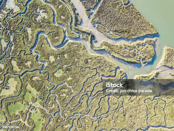 Abstrakcyjny Widok Na Bagna - zdjęcia stockowe i więcej obrazów Ujęcie z lotu ptaka - Ujęcie z lotu ptaka, Mapa, Park Narodowy Everglades