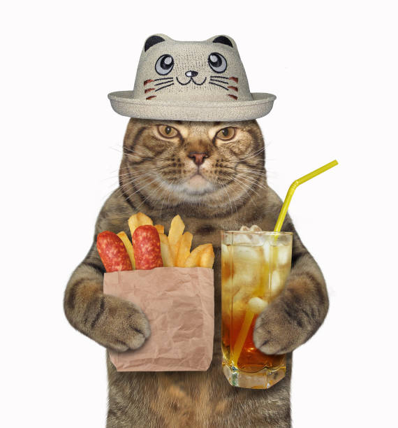 istock Cat in a funny hat with fried potato 1087144298