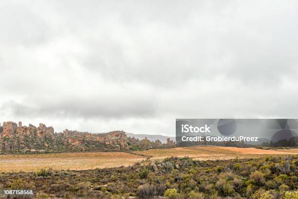 Rooibos Tea Plantations Near Wupperthal In The Cederberg Mountains Stock Photo - Download Image Now