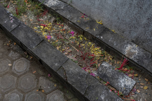 istock sprinkled flowers on the stone 1087163042