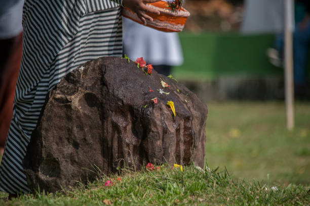 istock sprinkled flowers on the stone 1087163320