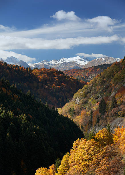 istock Landscape view of Mavrovo 108716350