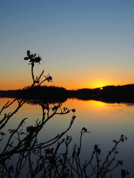 istock Beautiful sunset by the sea 1087163698