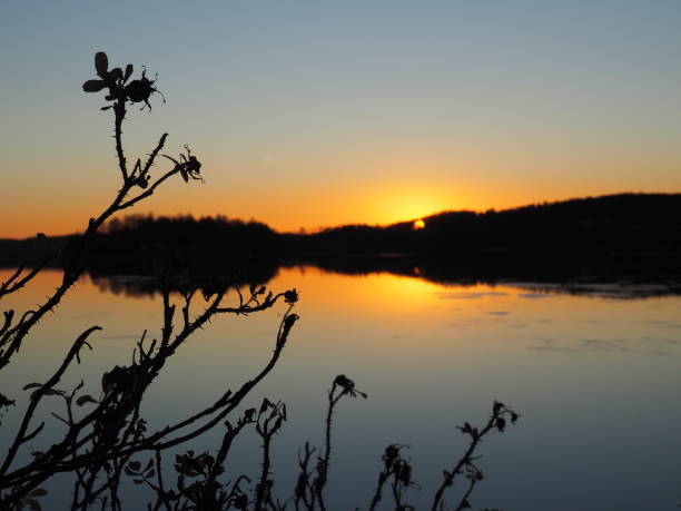 istock Beautiful sunset by the sea 1087163714