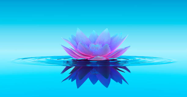 seerose abstrakt fantasy hintergrund - lotus water lily water flower stock-fotos und bilder