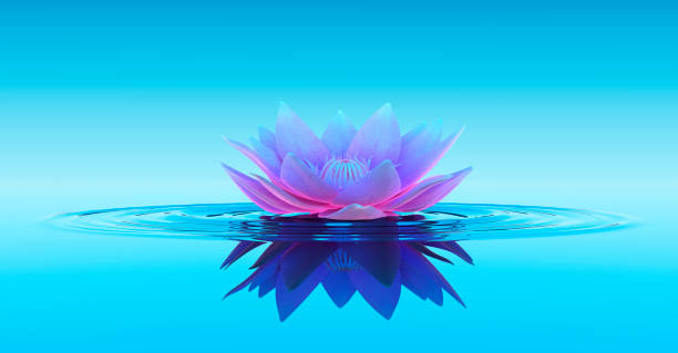 Photo of Water Lily Abstract Fantasy Background