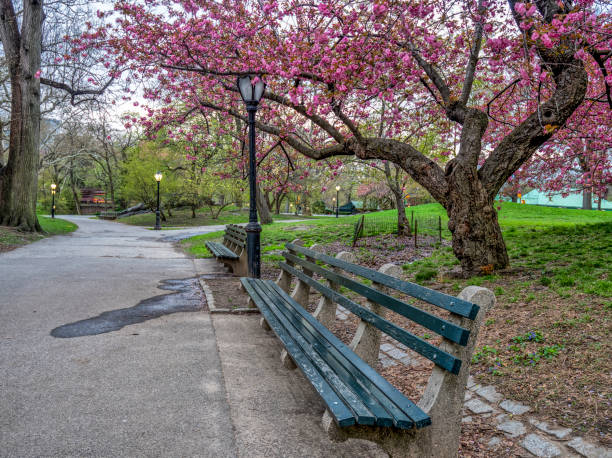 istock Central Park, New York City in spring 1087169360