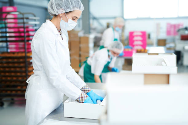 istock Confectionery factory employee putting parchment into box 1087171580
