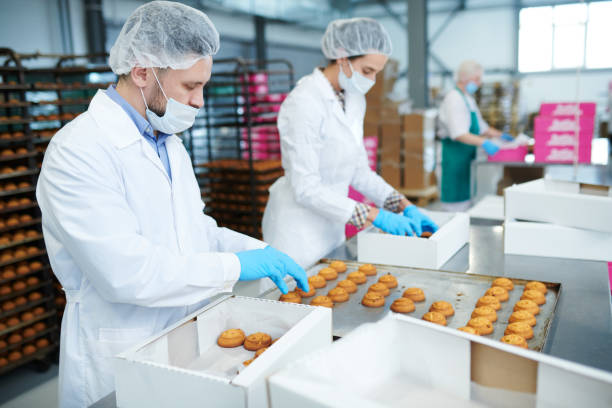 istock Confectionery factory workers putting pastry into boxes 1087171598