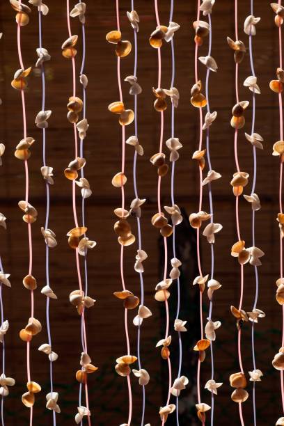 istock Seashell mobile hanging in the  building. 1087172348