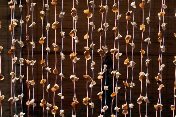 istock Seashell mobile hanging in the  building. 1087172752