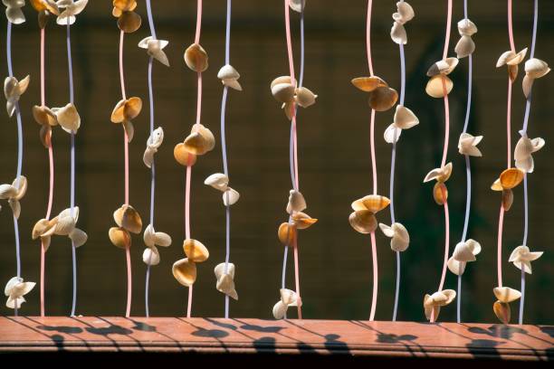 istock Seashell mobile hanging in the  building. 1087172808