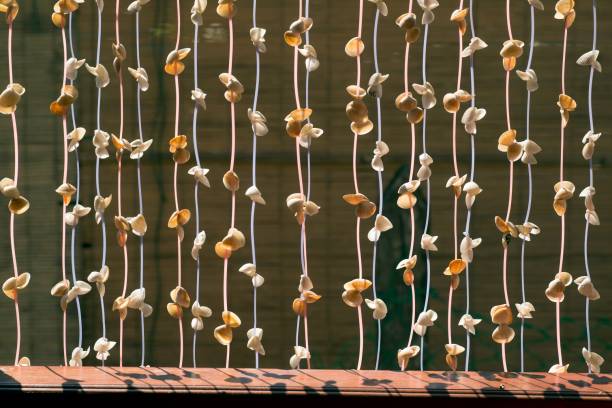 istock Seashell mobile hanging in the  building. 1087174142