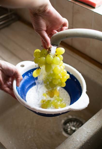 istock Person washing grapes. 1087180914