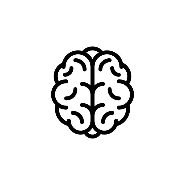 illustrations, cliparts, dessins animés et icônes de icône du cerveau humain - brain