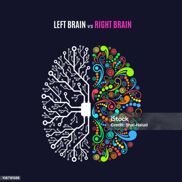 Notion De Gauche Et Cerveau Droit Vecteurs libres de droits et plus d'images vectorielles de Créativité - Créativité, Art, Science