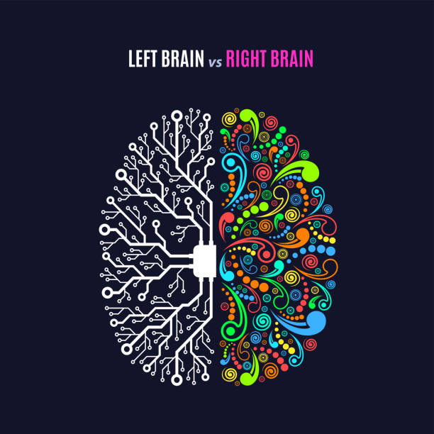 왼쪽 및 오른쪽 두뇌 개념 - creativity contemplation brain memories stock illustrations