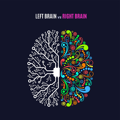 istock Left and right brain concept 1087181588