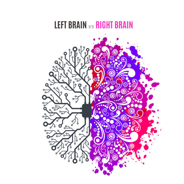 Left Hand Brain System 250+ Left Handed Brain Stock Illustrations, Royalty-Free Vector ...