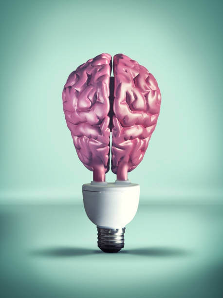 istock Light bulb with a brain instead of glass. 1087185902