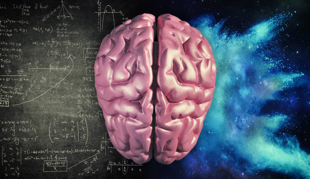 istock Right and left hemisphere of the brain . Creative half and logical half of human mind. 1087185912