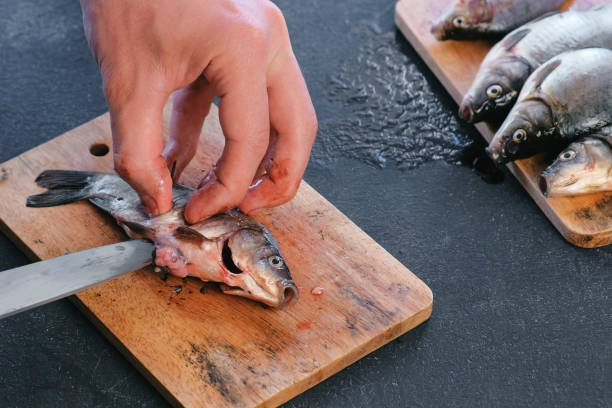 istock Man gutting a carp fish. Cooking fish. Hands close-up. 1087192042