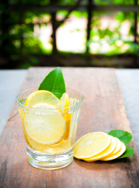 istock Alcoholic drink of gin tonic cocktail with lemon 1087201946