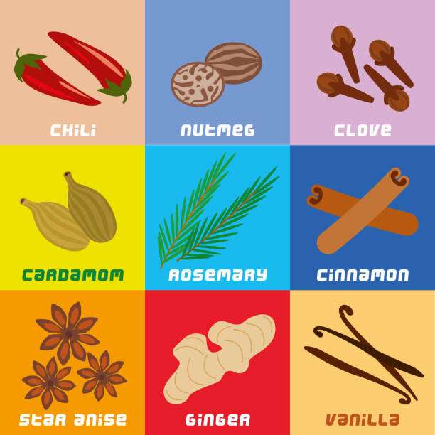 Herbs and Spices Collection Simplified Geometric Clip Art Vector illustration of Herbs and Spices Collection Simplified Geometric Clip Art star anise stock illustrations
