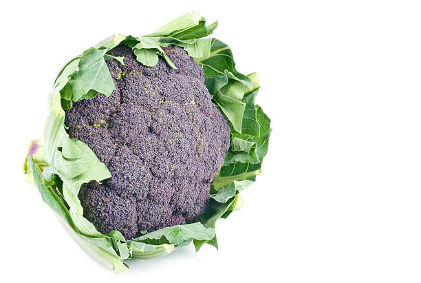 purple kalafior na białym tle - purple cauliflower zdjęcia i obrazy z banku zdjęć