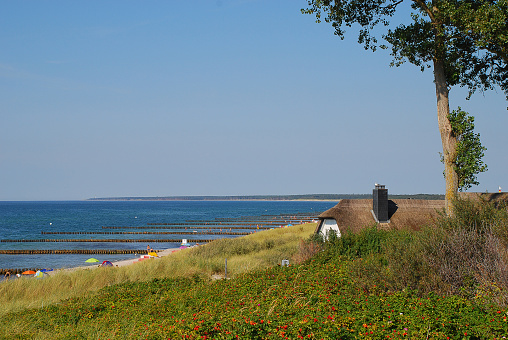 Coastal landscape with a typical thatched building at Baltic Sea coast on sunny summer day, Ahrenshoop, Darss, Germany. The  Darss is the middle part of the peninsula of Fischland-Darss-Zingst on the southern shore of the Baltic Sea