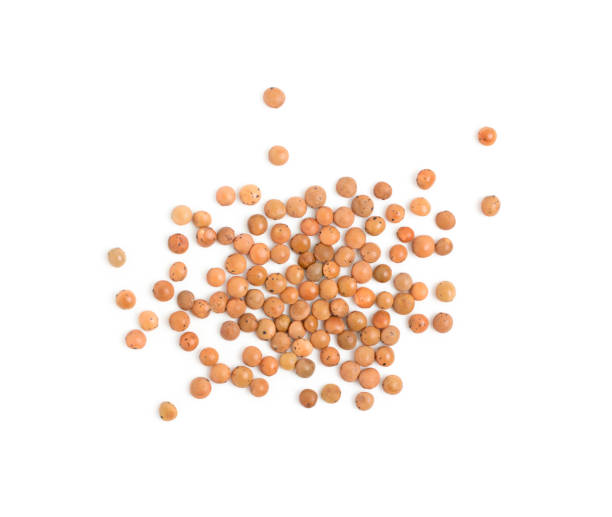 istock Dry brown lentils seeds or vegan protein source isolated 1087223658
