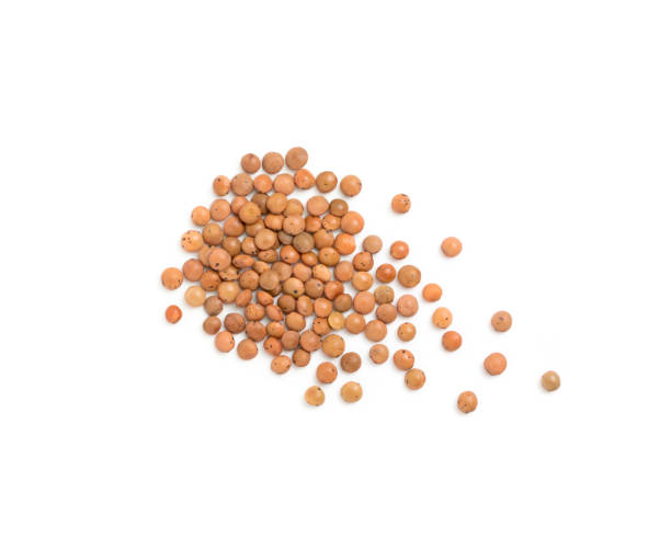 istock Dry brown lentils seeds or vegan protein source isolated 1087223666