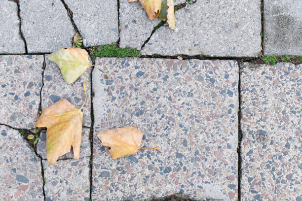 istock Grey Old Stone Pavement Top View or Granite Cobblestone Road 1087223866