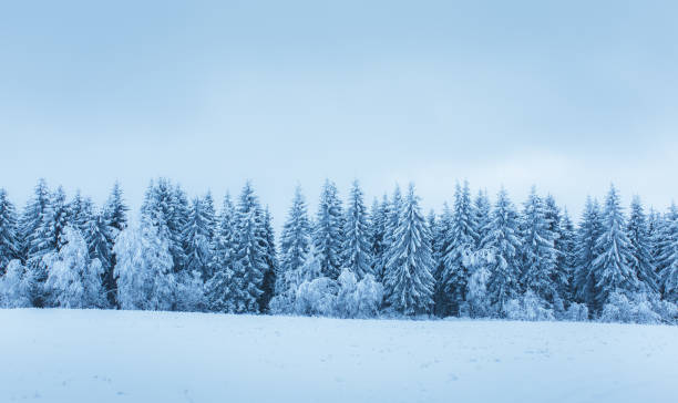 istock Snowy landscape from Sotkamo, Finland. 1087224250