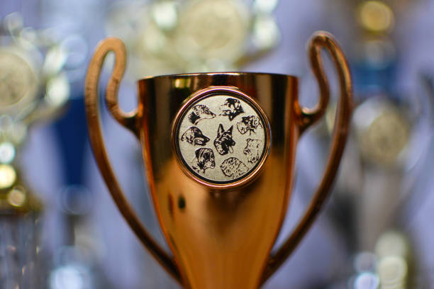 close-up de um troféu de cálice mostrar cão bronze com emblema com raças diferentes do cão nele com troféus embaçadas no fundo - show dog - fotografias e filmes do acervo