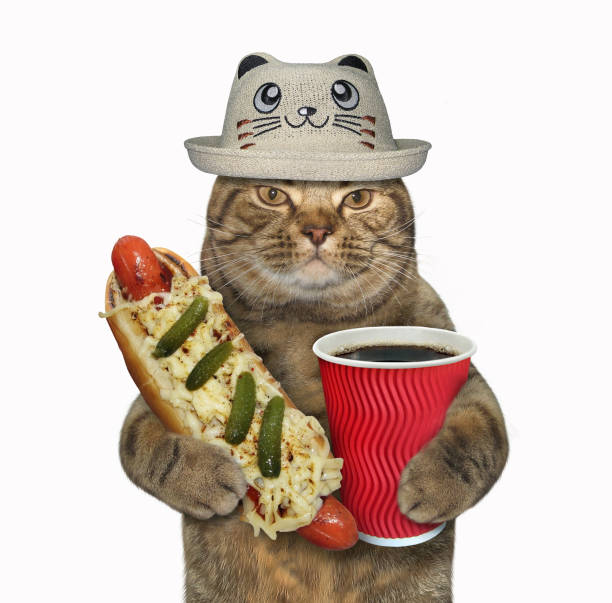 istock Cat in a funny hat with a hot dog 1087238422