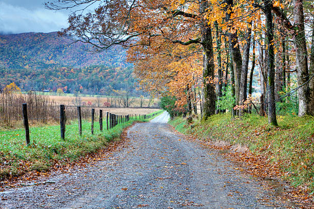 istock Dirt road in Fall season 108724384